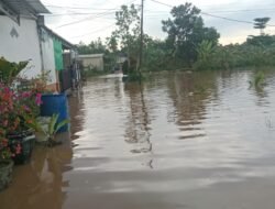Bencana Alam: Banjir Rendam Puluhan Rumah Warga Dusun 6 RT 03 Desa kace.