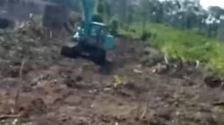 Dugaan Perusakan Tanaman Sawit Milik Keluarga Johan di Desa Pergam Masih Berproses Hukum