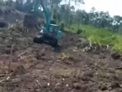 Dugaan Perusakan Tanaman Sawit Milik Keluarga Johan di Desa Pergam Masih Berproses Hukum