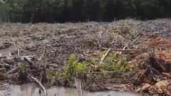 Jual Beli Tanah Negara Tanpa Hak di Desa Pergam Kian Meresahkan Warga, ketegasan Aph dan Pemda dipertanyakan.