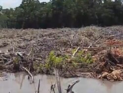 Jual Beli Tanah Negara Tanpa Hak di Desa Pergam Kian Meresahkan Warga, ketegasan Aph dan Pemda dipertanyakan.