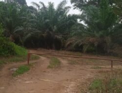 Pemasangan Portal di Jalan Kebun Sawit Air Liuk Diduga Menyulitkan Aktivitas Warga