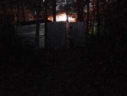 Dapur Timah Ilegal di Hutan Petaling Kian Menguak, Kapolres Bangka: “Mksh, Kami Cek Lagi Bang”