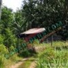 Bos “AMIN” Masih Bebas, Publik Bertanya: Apakah Hukum Benar-benar Bekerja Atau berdiam diri Dan diduga menerima upeti.