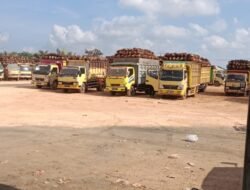 Masyarakat Keluhkan Dugaan Ketidakprofesionalan Sistem Antrean di Pabrik Sawit PT Tama Buana Jaya Desa Jeriji