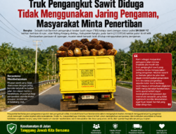 Truk Pengangkut Sawit Diduga Tidak Menggunakan Jaring Pengaman, Masyarakat Minta Penertiban.