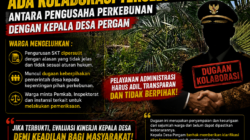 Pengurusan SKT Dipersulit, Warga Minta Inspektorat Periksa Pelayanan Desa Pergam
