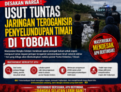 Desakan Warga Menguat, APH Diminta Usut Tuntas Dugaan Jaringan Terorganisir Penyelundupan Timah 1 Ton di Toboali